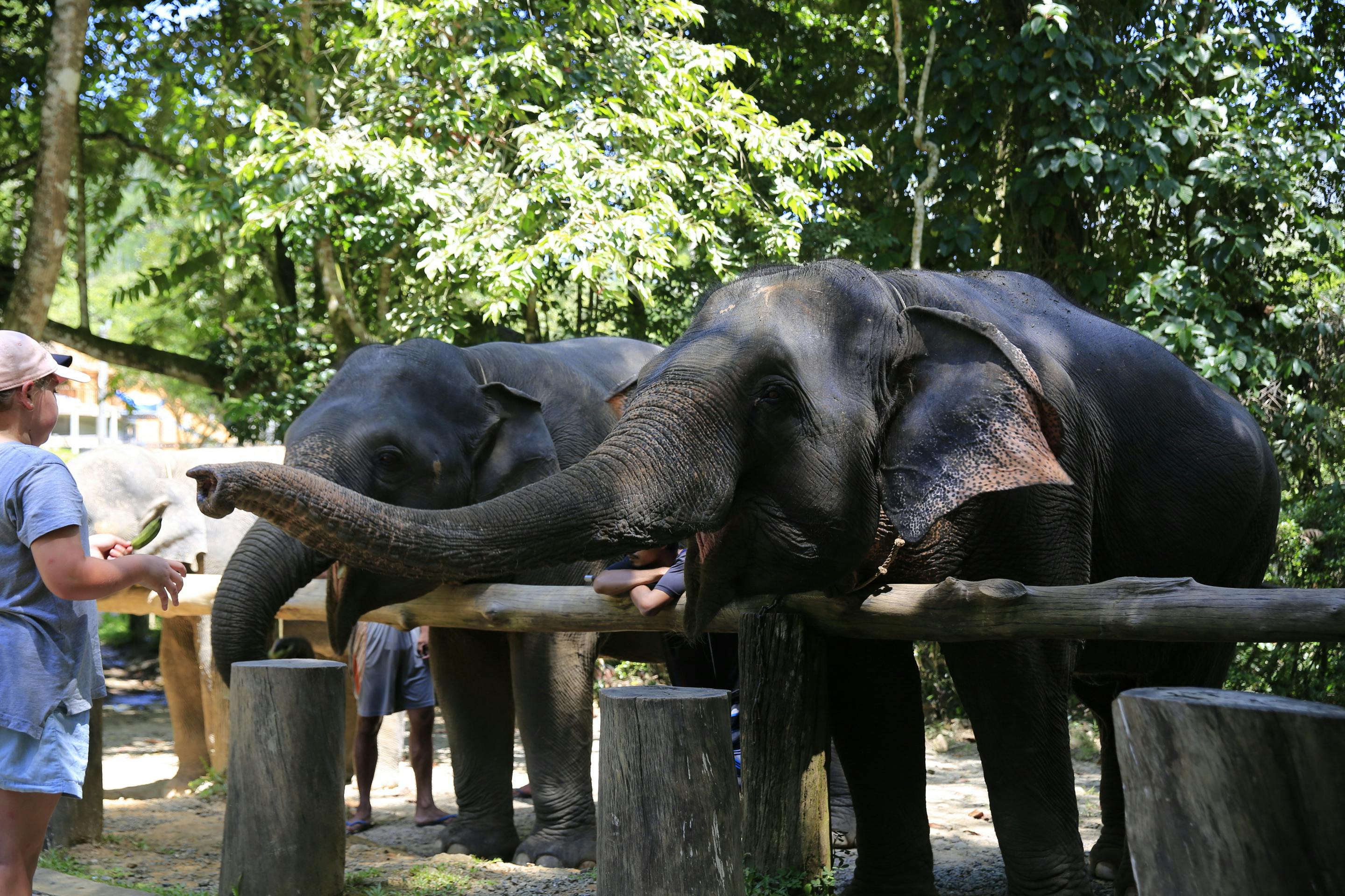 Khao Lak Safari Tour Price