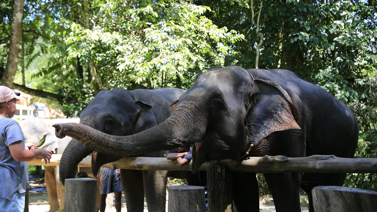 Khao Lak Safari Tour Price