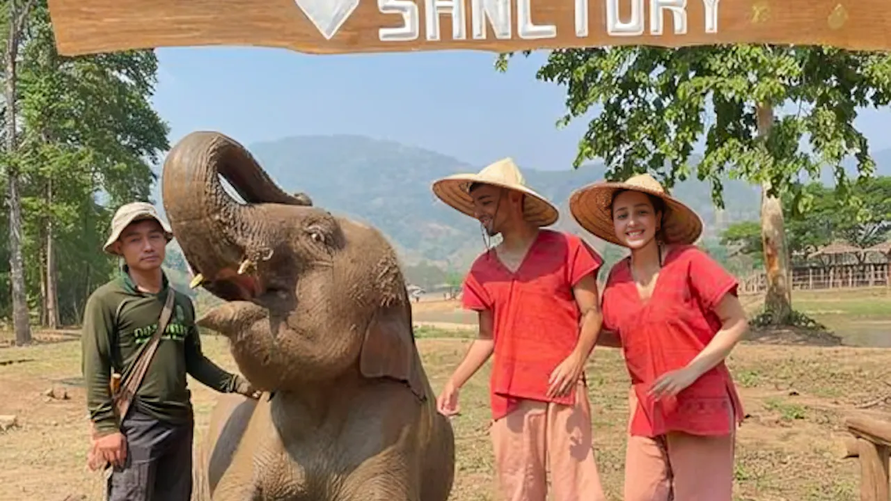 Secret Elephant Sanctuary Tour Ticket