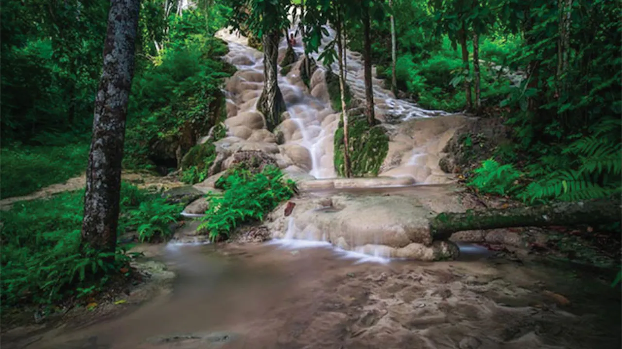 Secret Elephant Sanctuary Tour Ticket Price