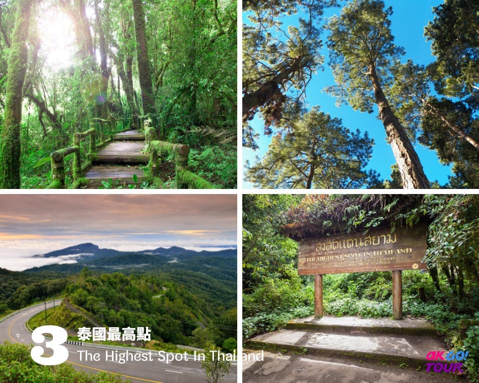  Doi Inthanon National Park Day Tour in Chiang Mai Discount