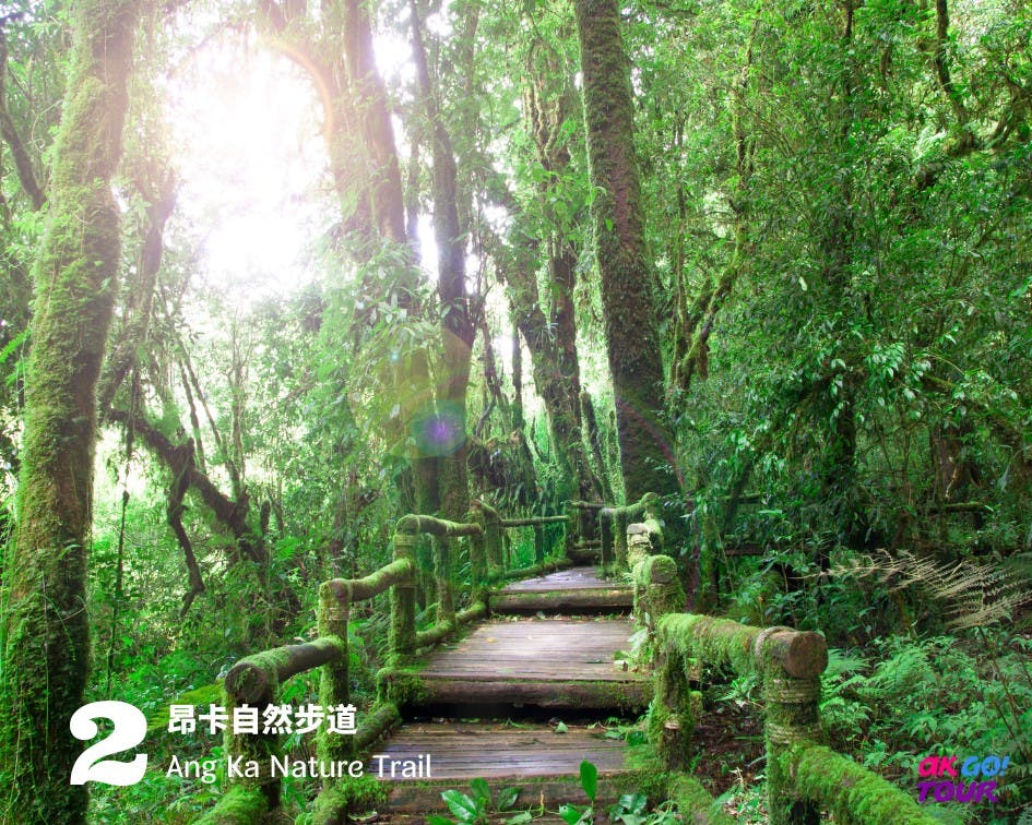  Doi Inthanon National Park Day Tour in Chiang Mai Price