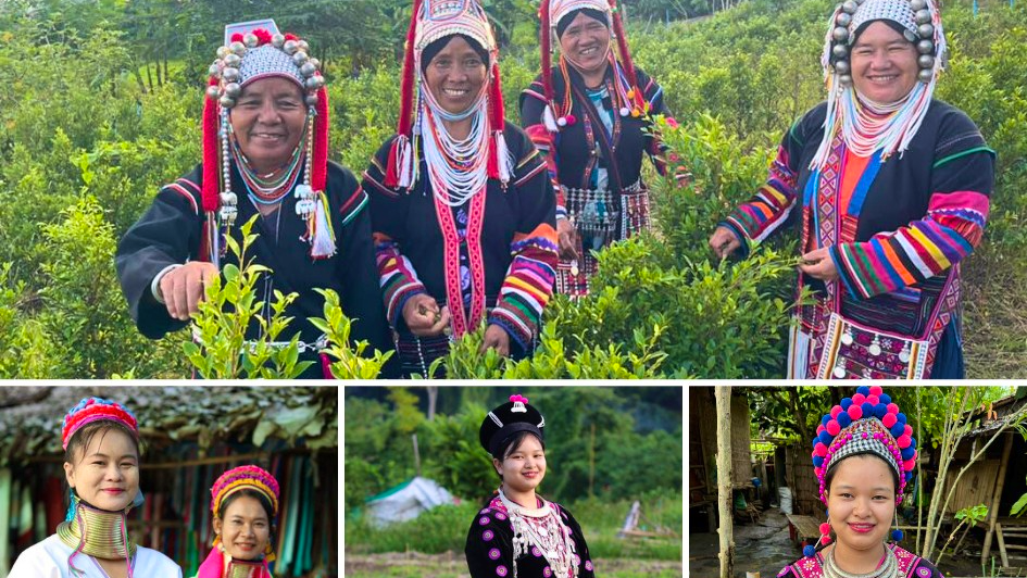 Hill Tribes & Wat Pha Lat:  Half-Day Tour in Chiang Mai Discount