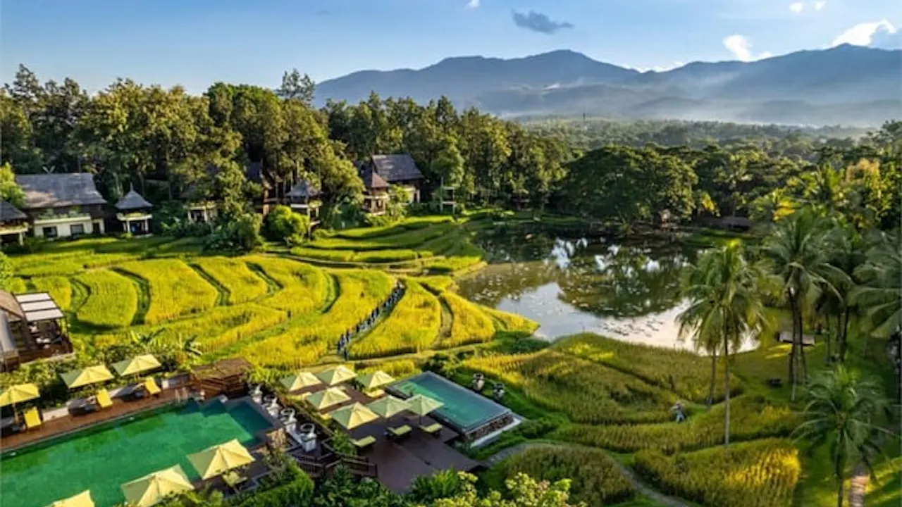 Hill Tribes & Wat Pha Lat: Half-Day Tour in Chiang Mai