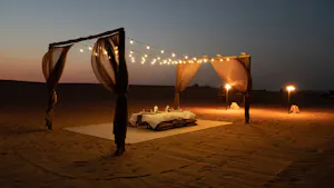 Private Desert Experience with BBQ Dinner & Premium Beverages