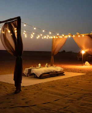 Private Desert Experience with BBQ Dinner & Premium Beverages