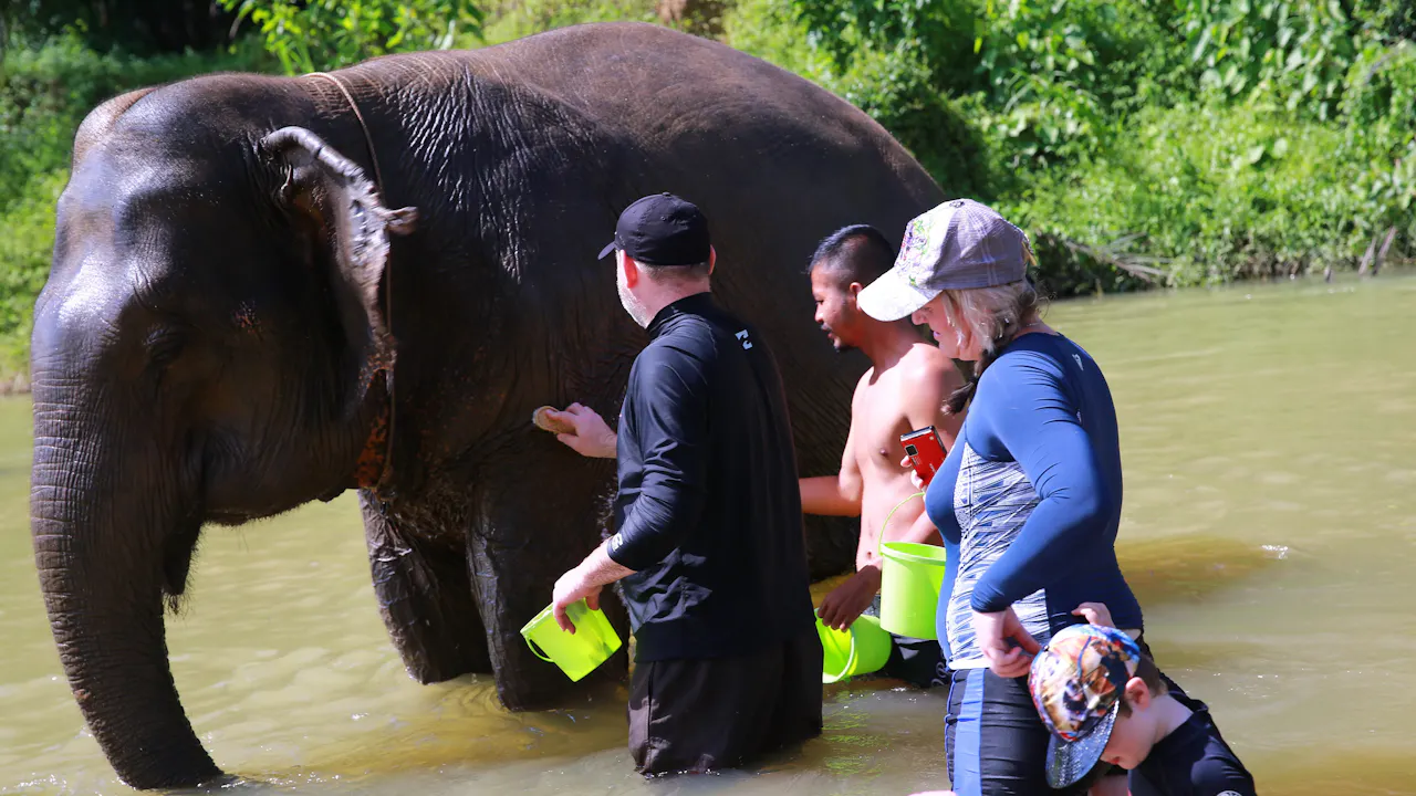 Khao Sok Day Trip Ticket