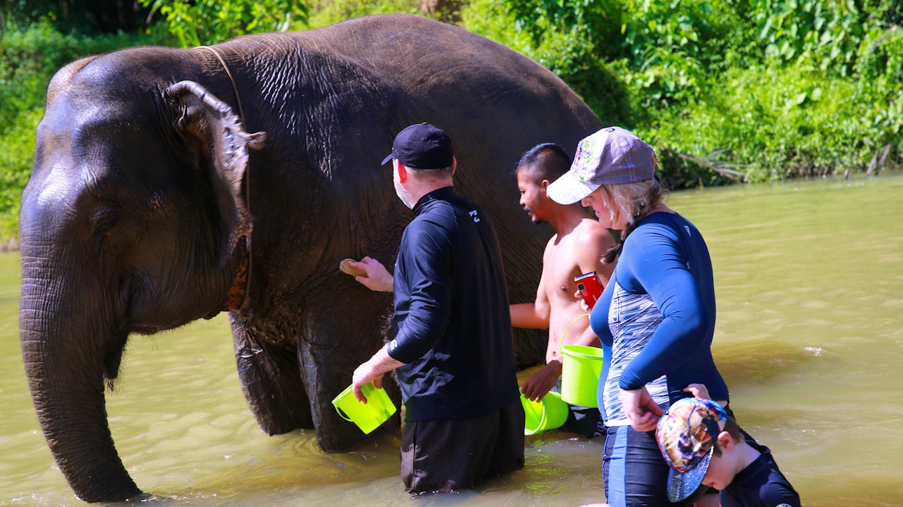 Khao Sok Day Trip Ticket