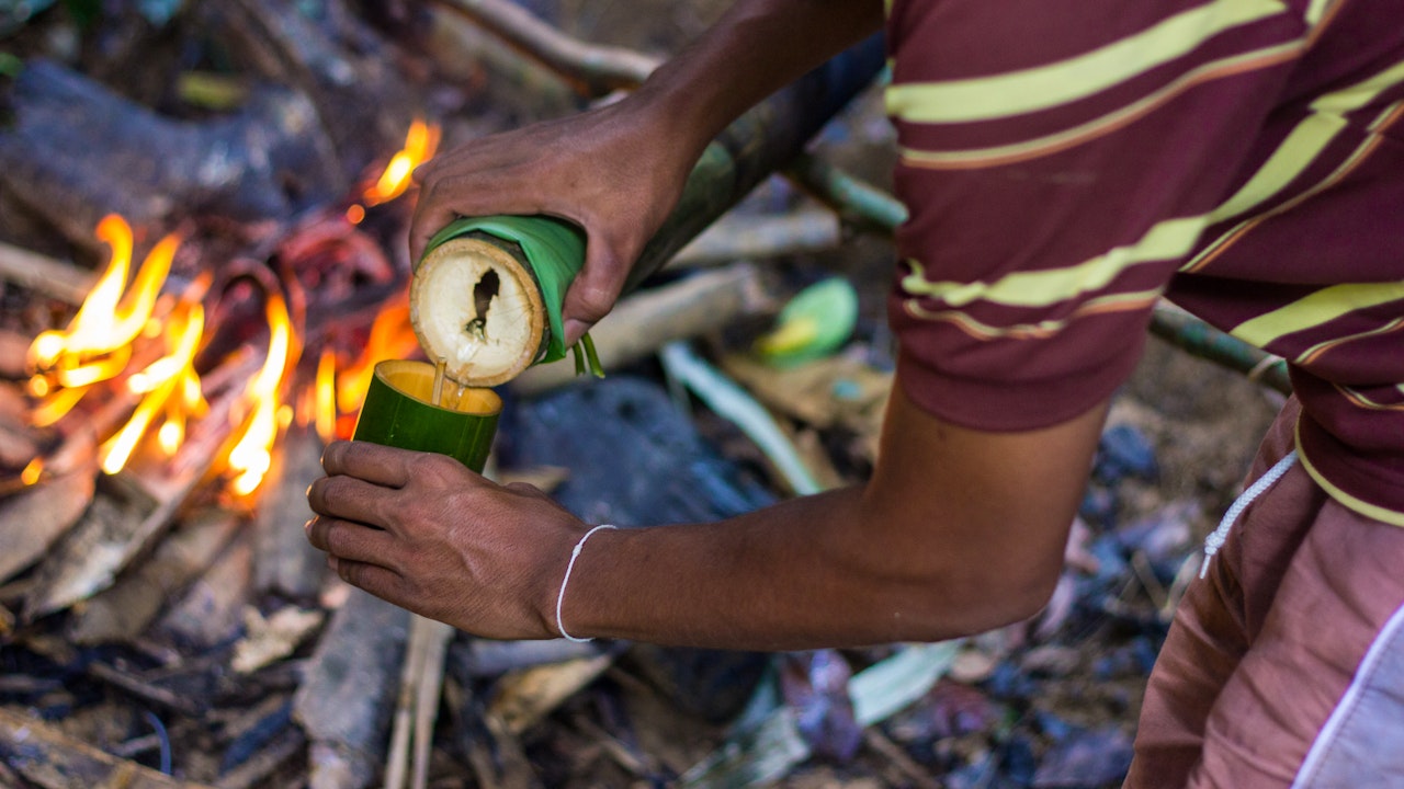 Khao Sok Day Trip Review