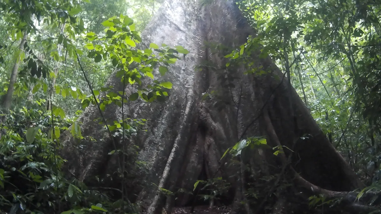 Khao Sok Lake Day Trip