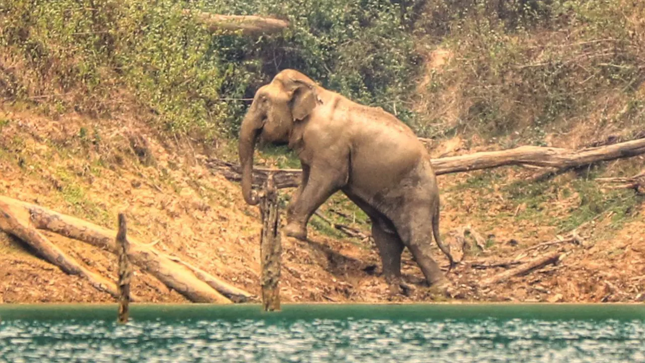 Khao Sok 2 Days Wildlife Adventure Price