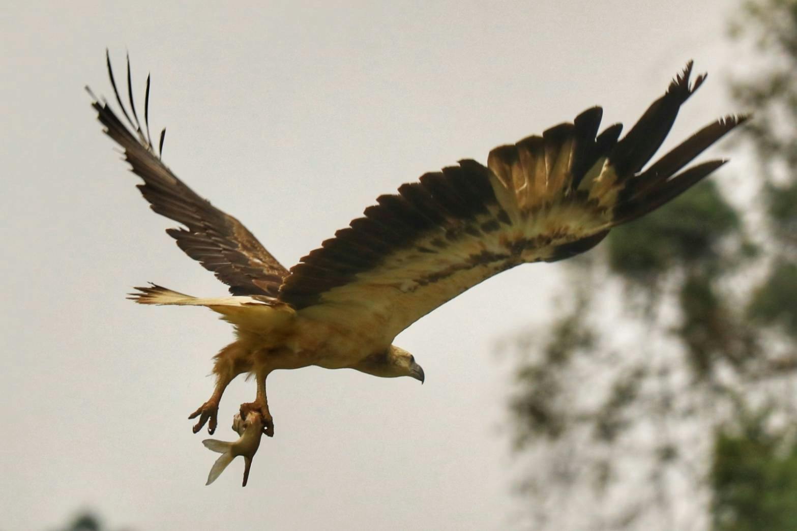 Khao Sok 2 Days Wildlife Adventure Location