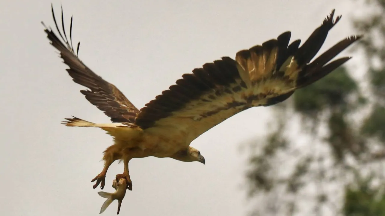 Khao Sok 2 Days Wildlife Adventure Location