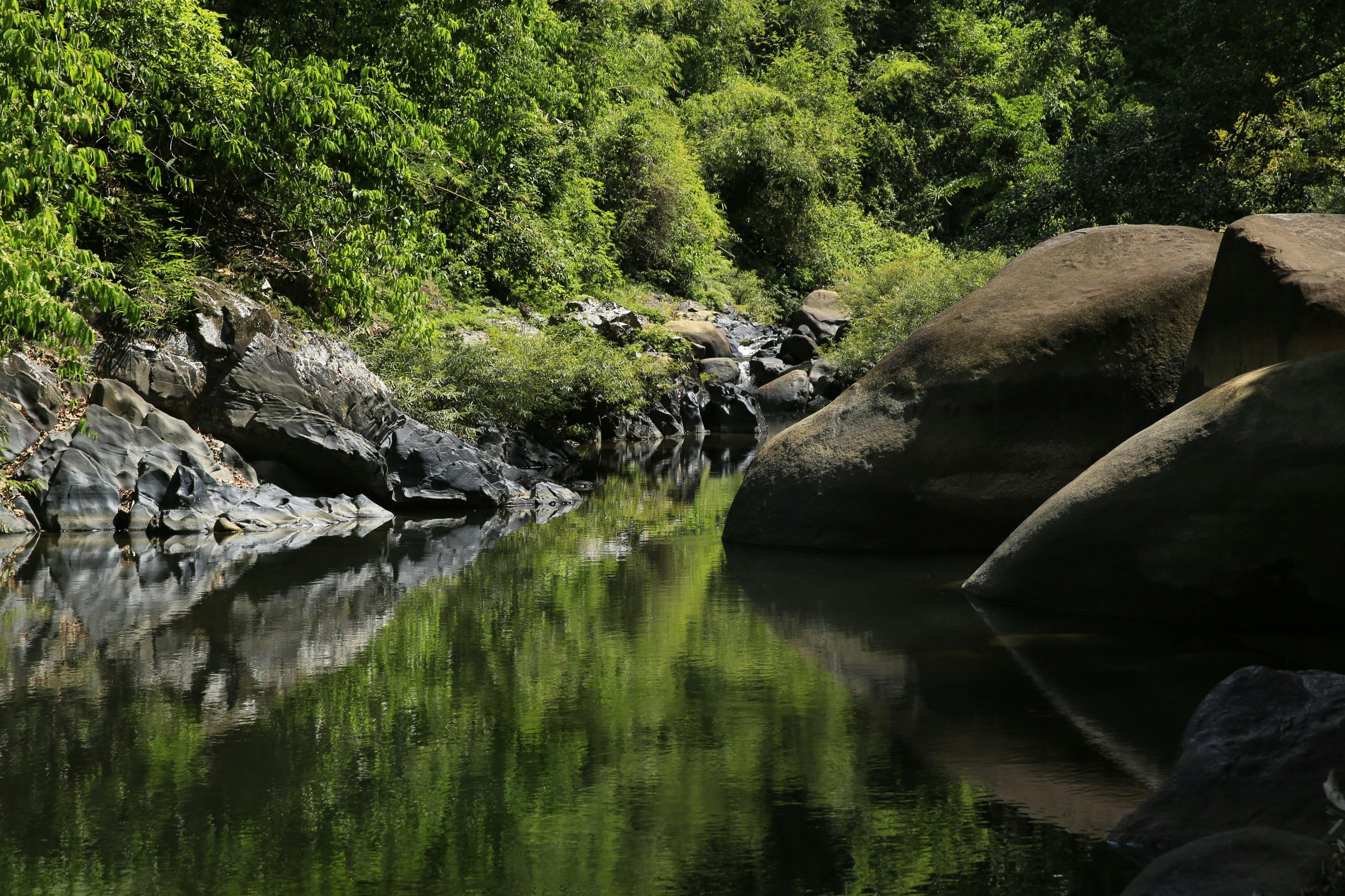 Khao Sok Jungle Trek Tour Price