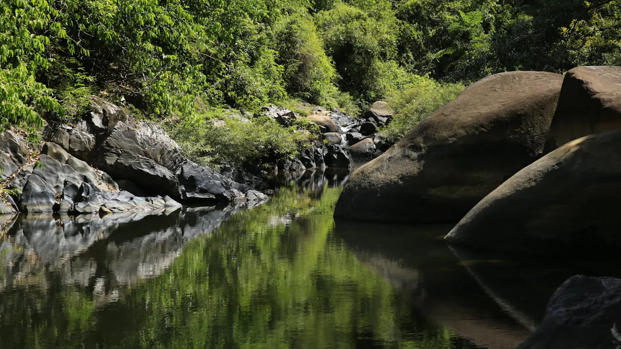 Khao Sok Jungle Trek Tour Price