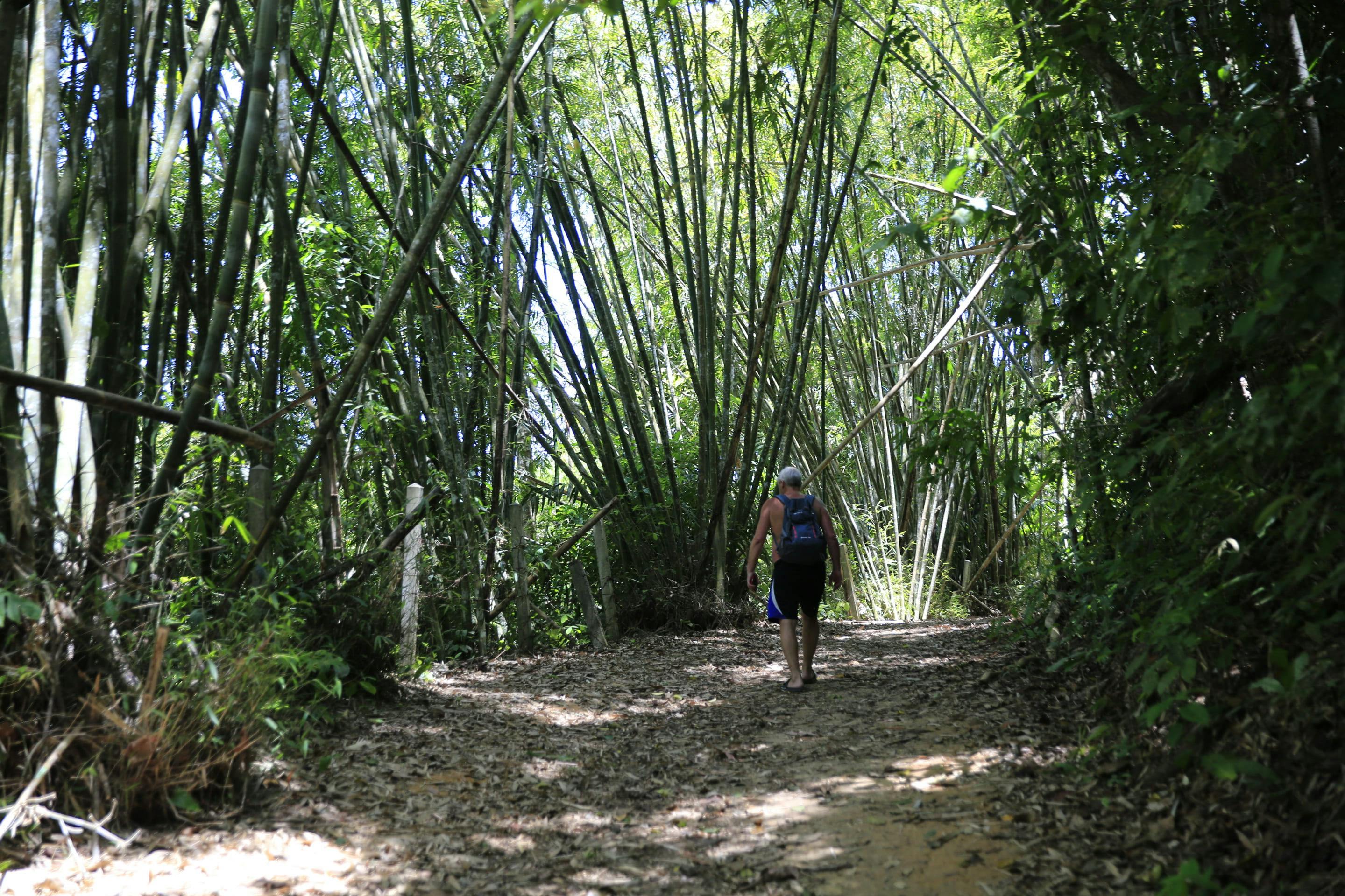 Khao Sok Jungle Trek Tour Discount