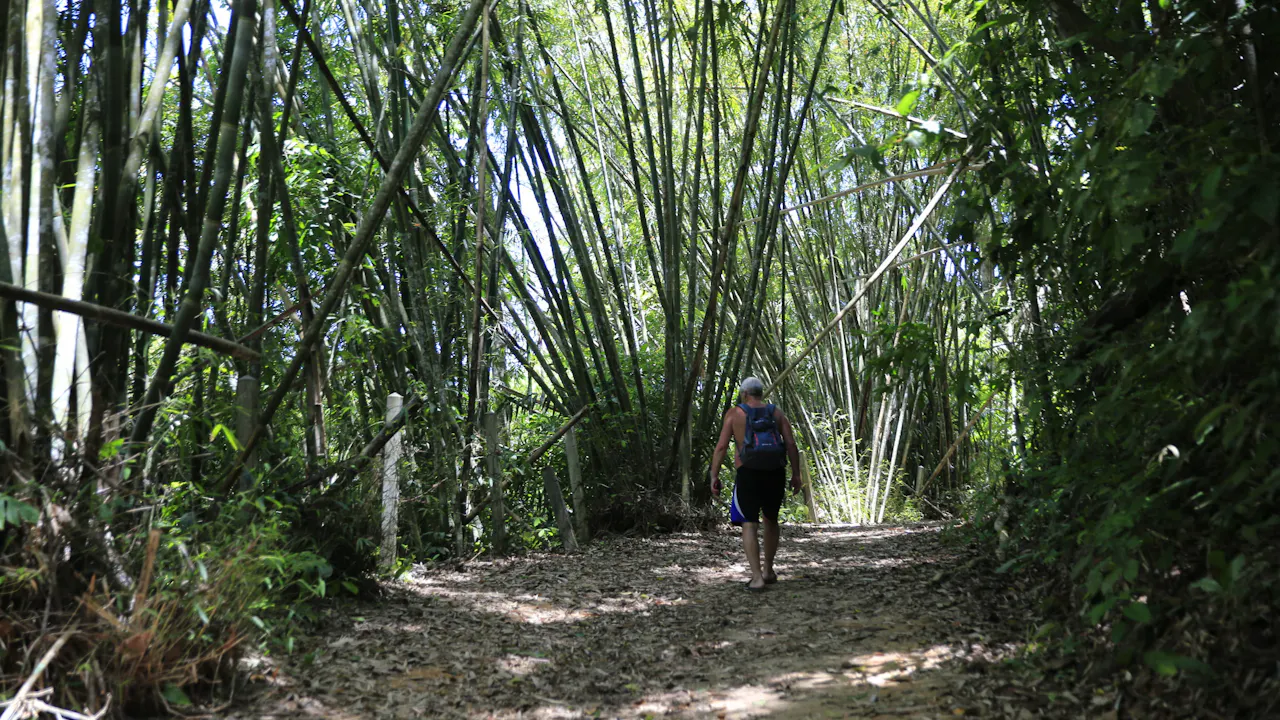 Khao Sok Jungle Trek Tour Discount