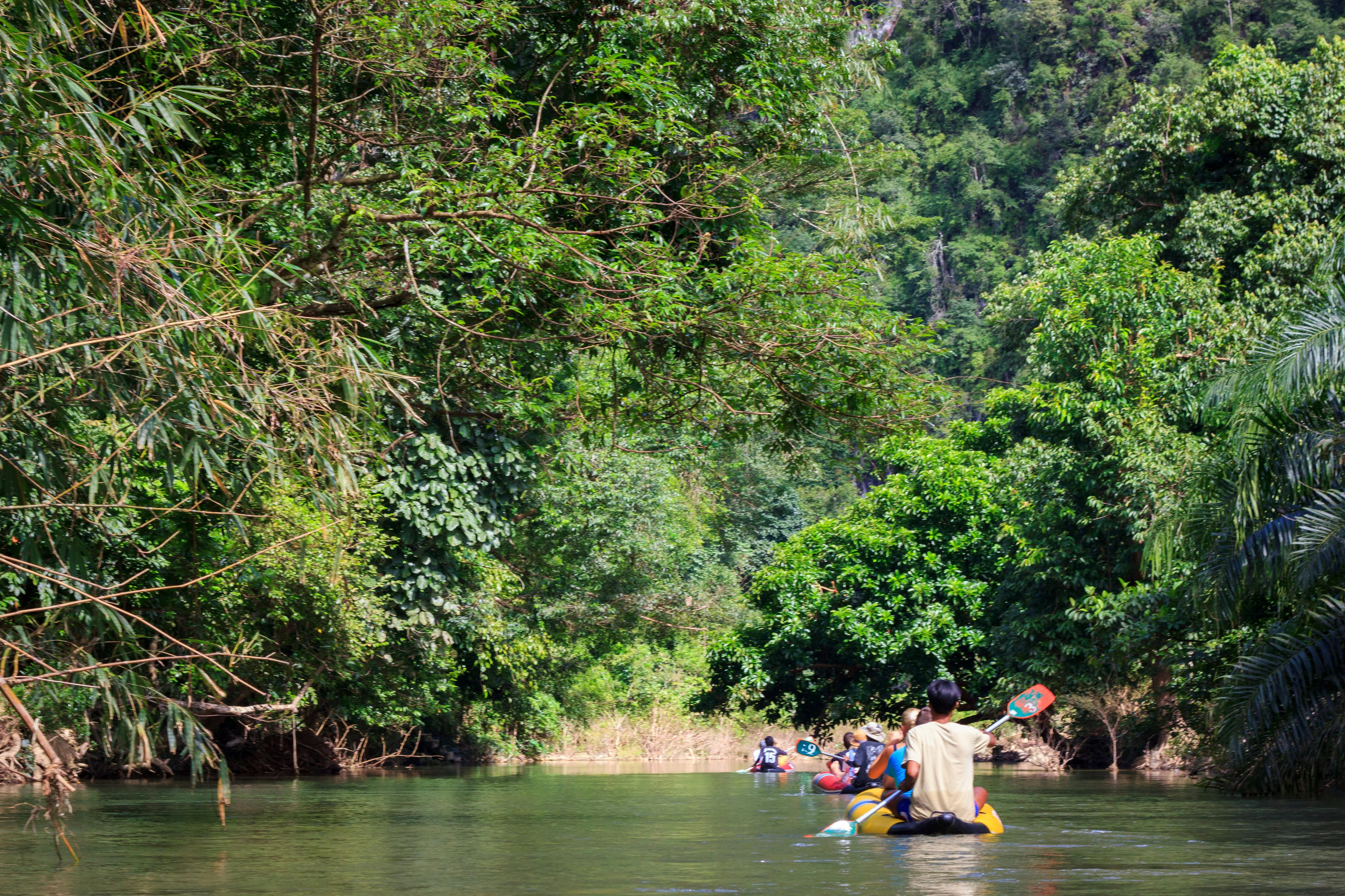 Khao Sok Jungle Trek Tour Review
