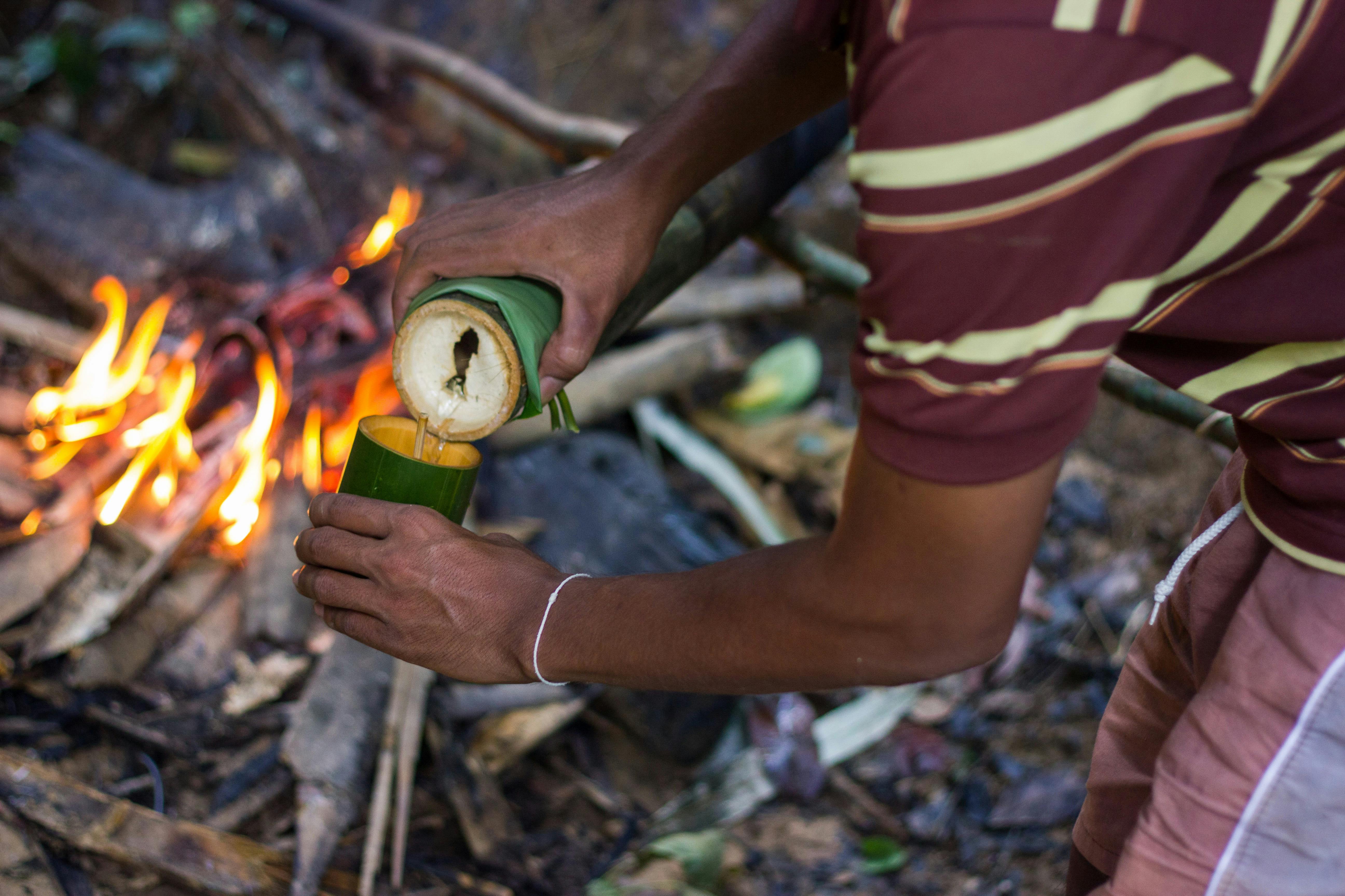 Khao Sok Jungle Trek Tour