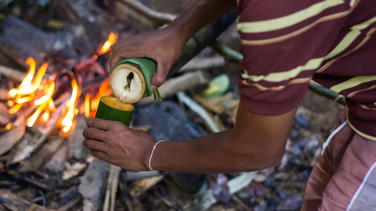 Khao Sok Jungle Trek Tour