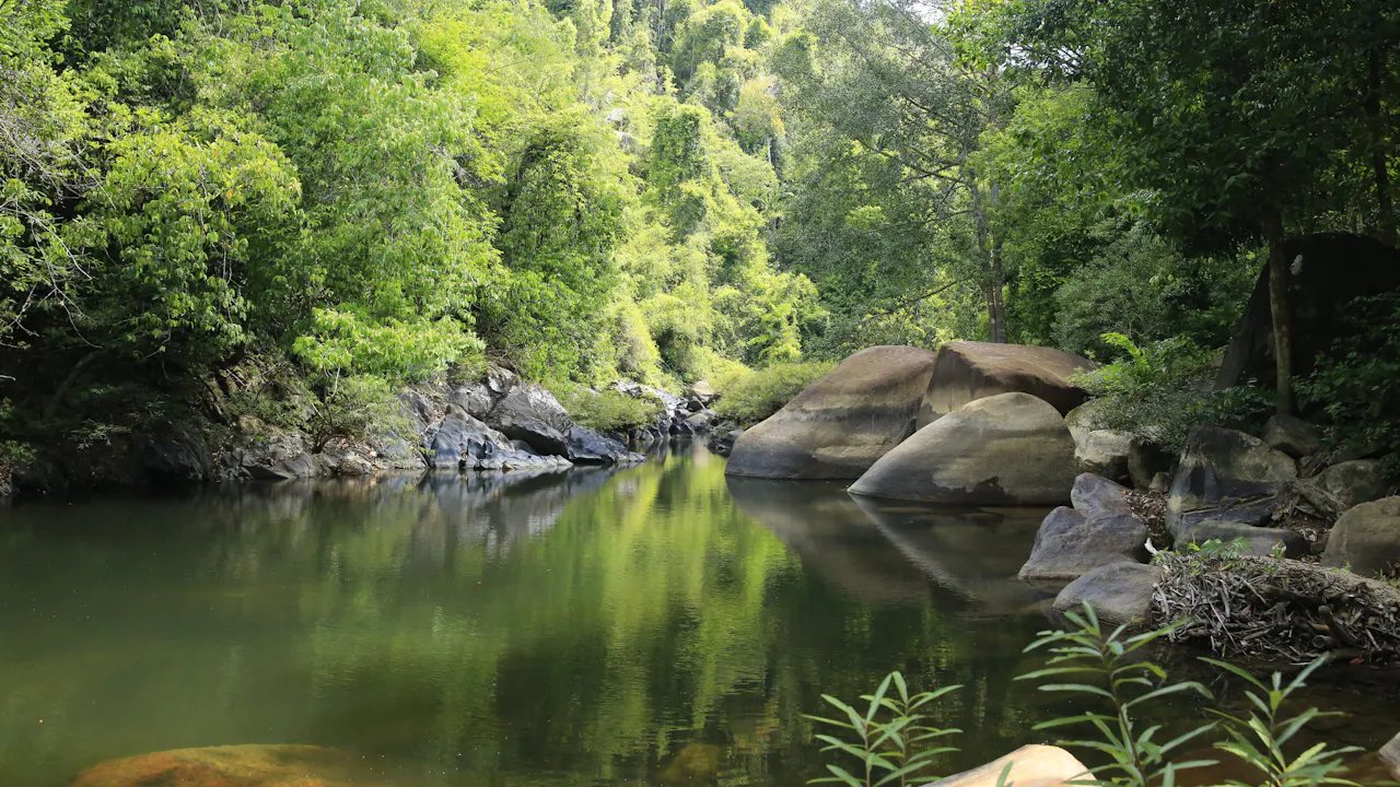 Khao Sok Jungle Trek Tour
