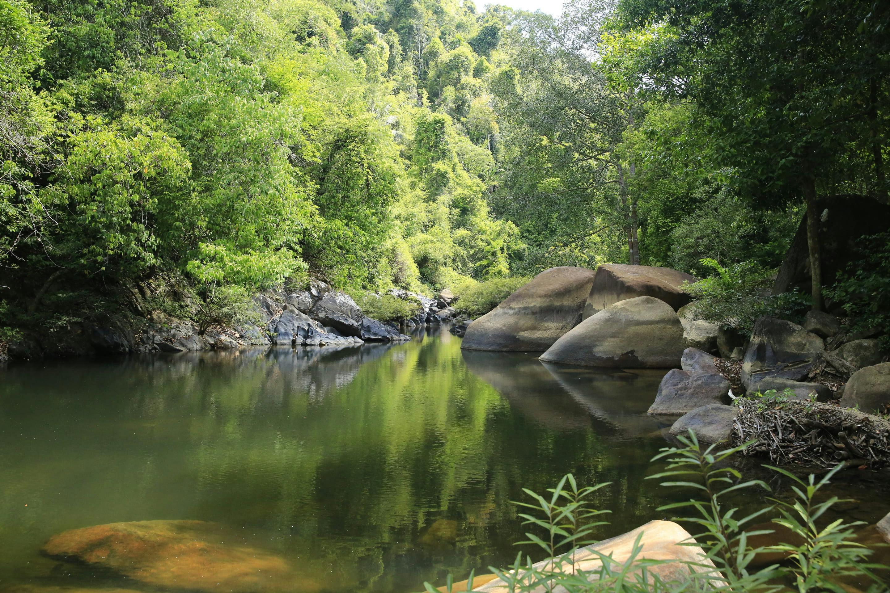 Khao Sok Jungle Trek Tour Ticket