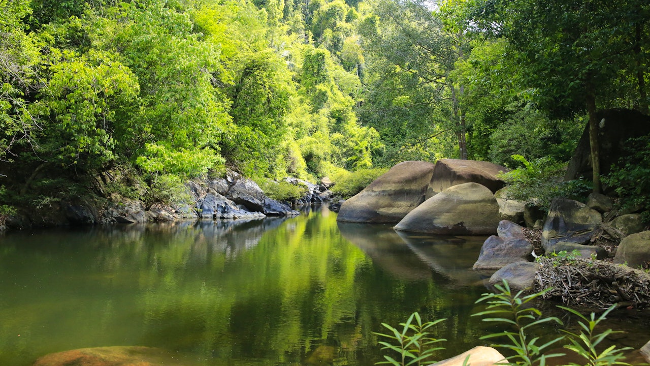 Khao Sok Jungle Trek Tour Ticket