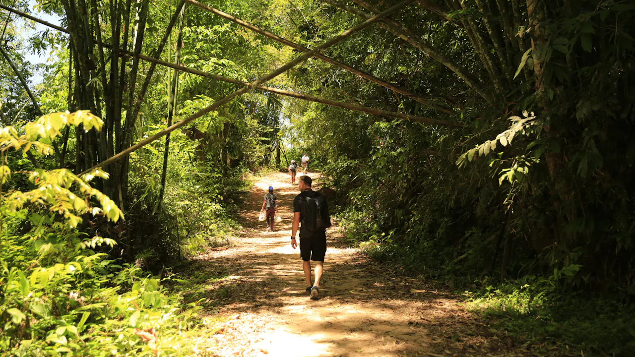 Khao Sok Jungle Trek Tour Category