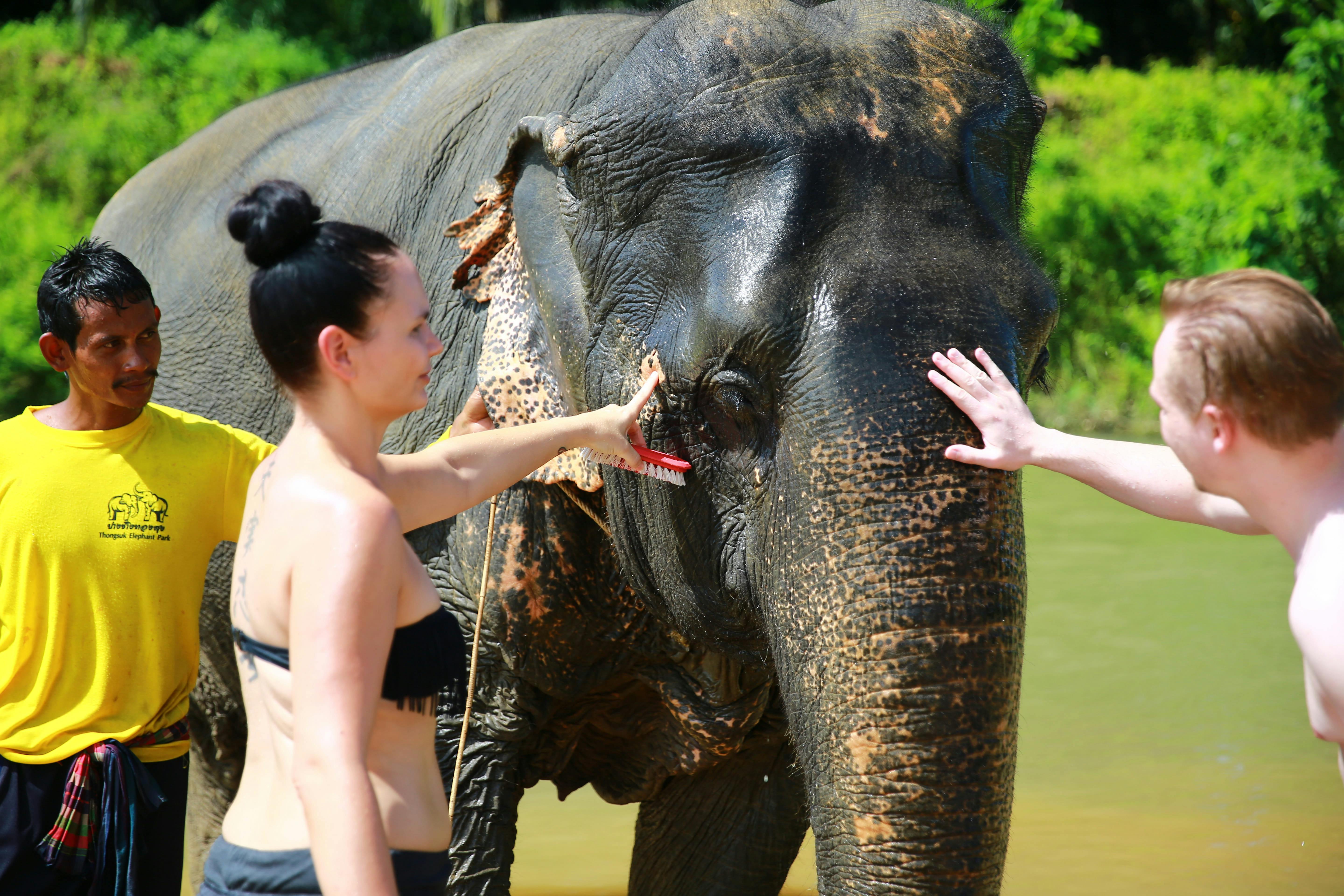 Khao Sok 3 Day Tour Thrillark