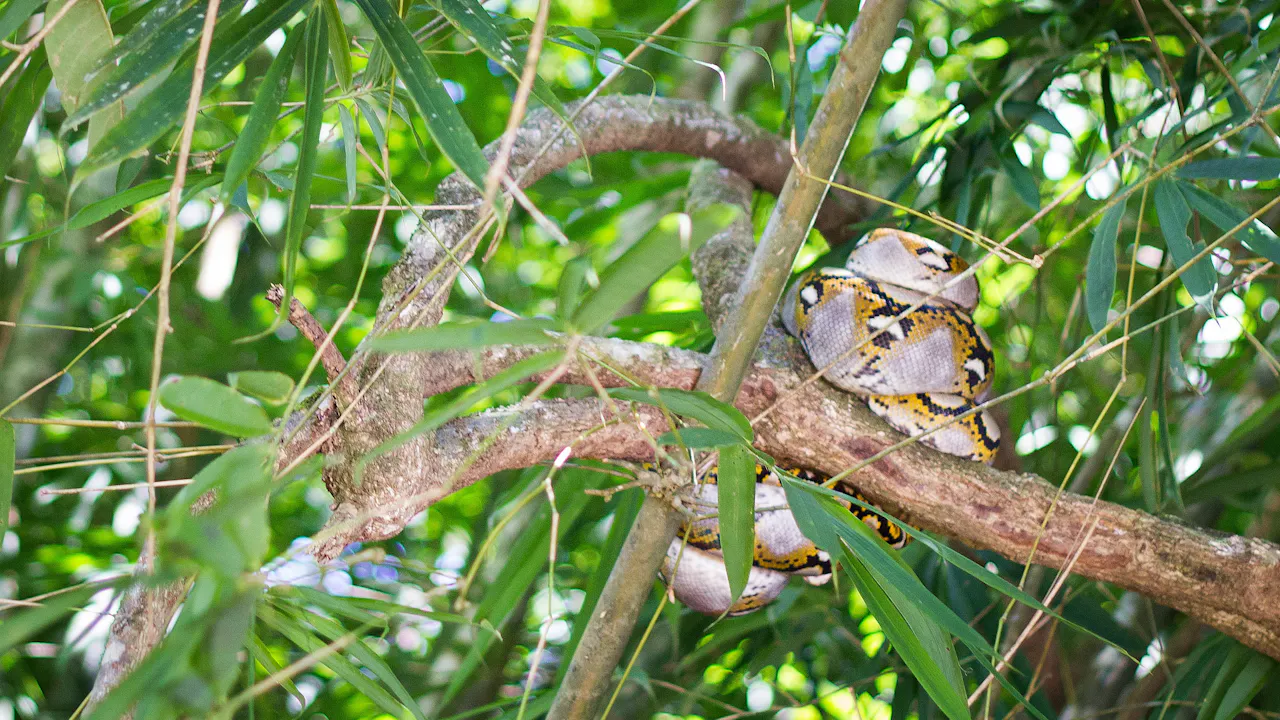 Khao Sok 3 Day Tour Discount