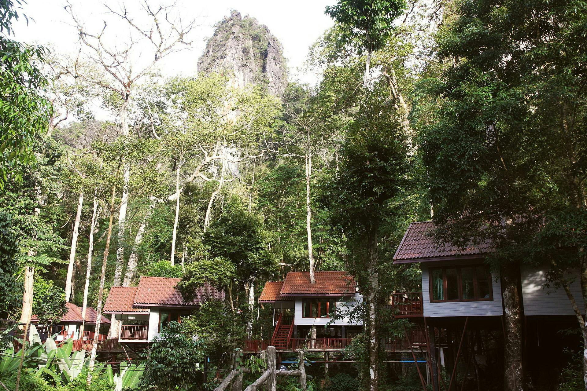 Khao Sok 3 Day Tour Price