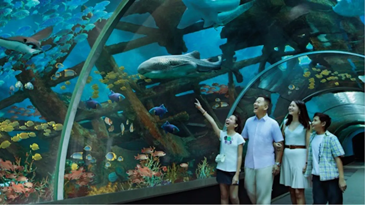 S.E.A Aquarium VIP Experience & Dolphin Island Tickets Price