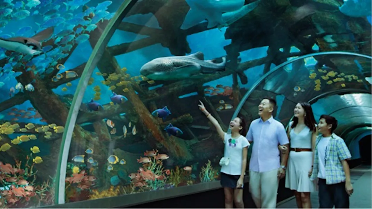 S.E.A Aquarium VIP Experience & Dolphin Island Tickets Ticket