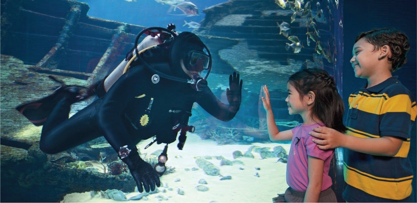S.E.A Aquarium VIP Experience & Dolphin Island Tickets Discount