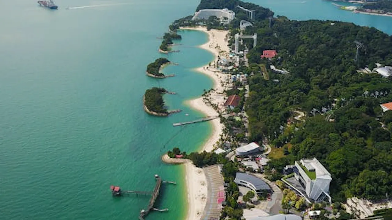 S.E.A Aquarium with Return Transfer Ticket