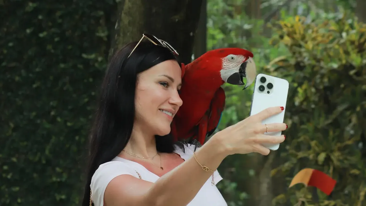 Bali Bird Park Tickets Price