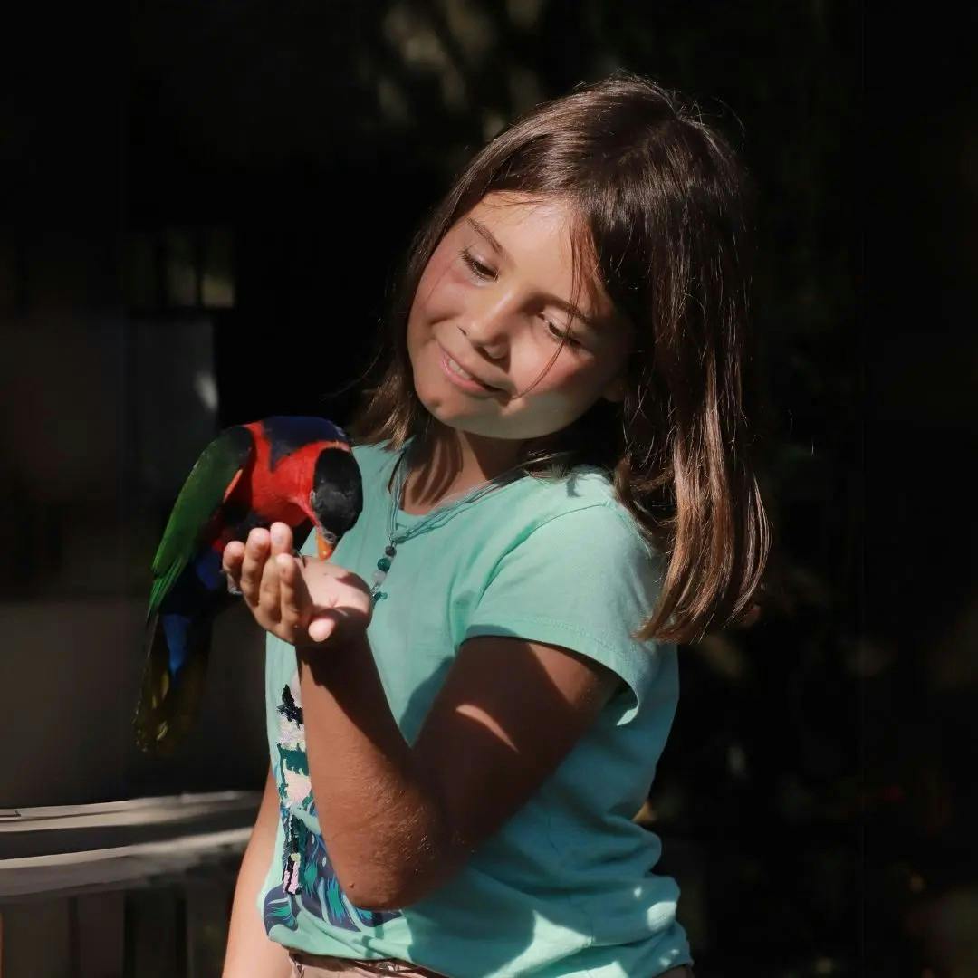  Bali Bird Park Tickets Discount