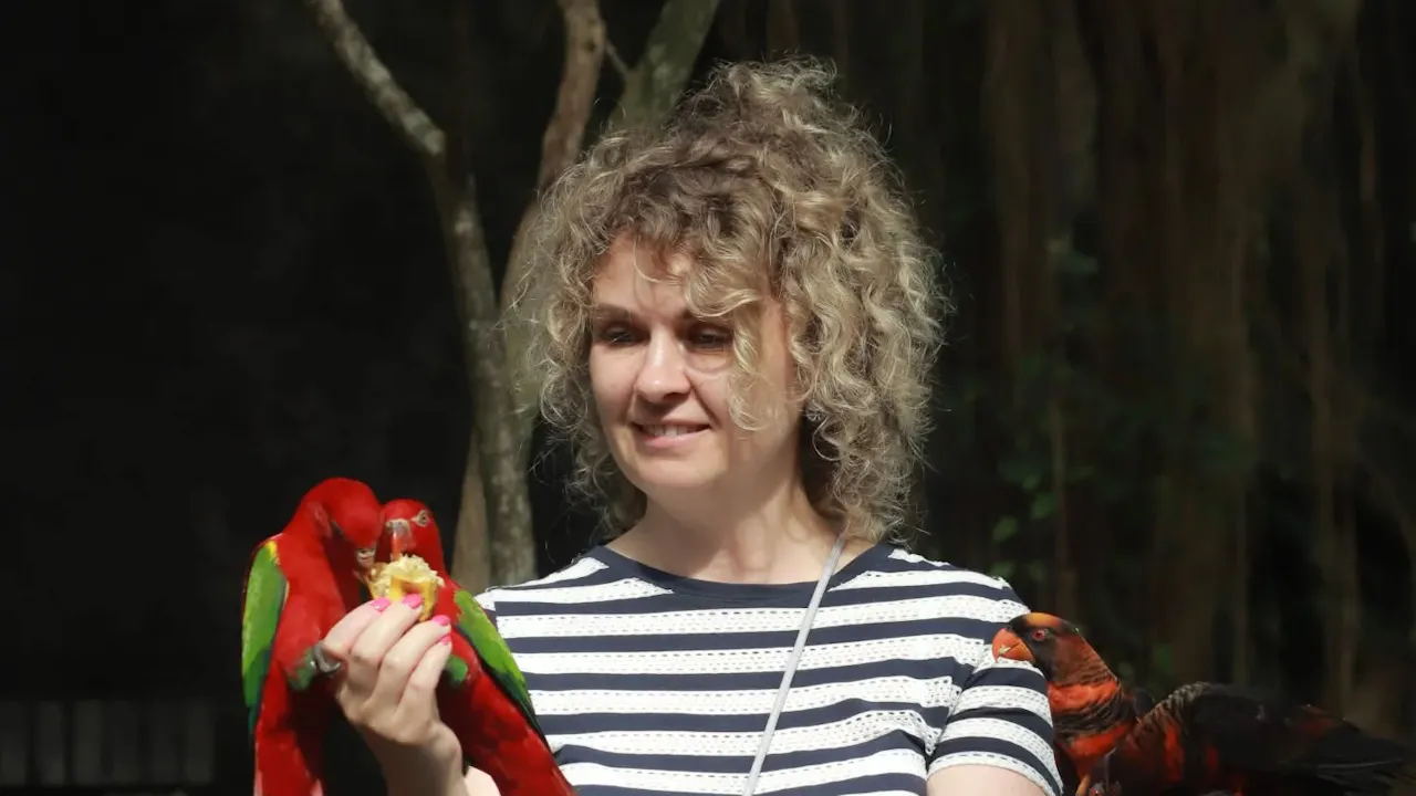 Bali Bird Park Tickets