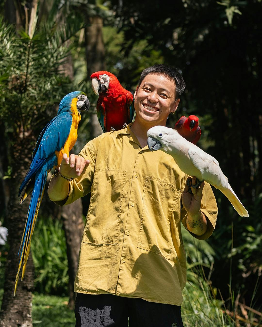  Bali Bird Park Tickets Location