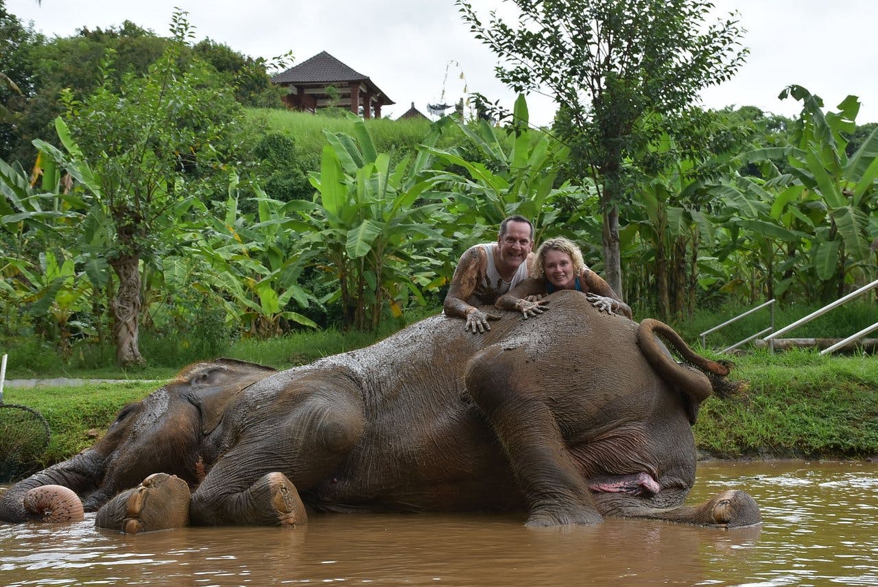 Bali Zoo with Elephant Experiences  Category