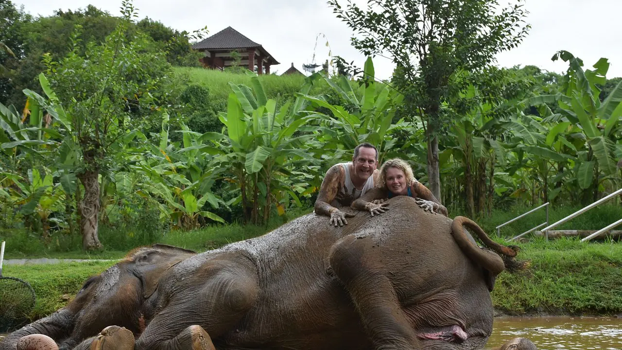 Bali Zoo with Elephant Experiences Category