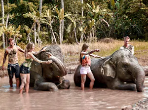 Bali Zoo with Elephant Experiences 