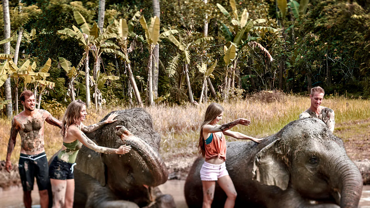 Bali Zoo with Elephant Experiences Ticket