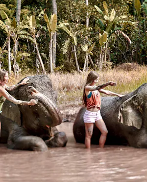 Bali Zoo with Elephant Experiences