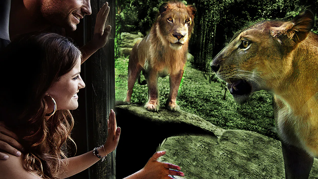 Breakfast with Orangutan at Bali Zoo