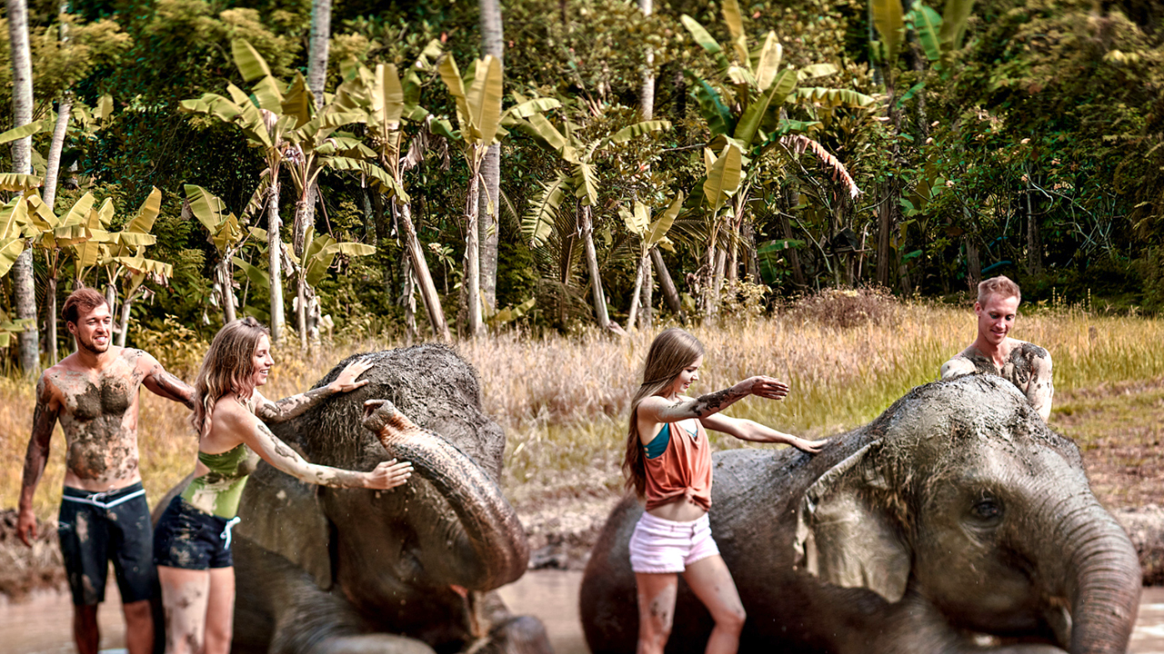 Breakfast with Orangutan at Bali Zoo Price