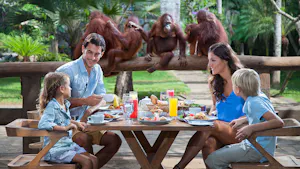 Bali Zoo: Breakfast with the Orangutans