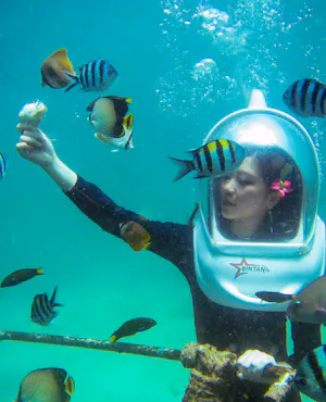 Mangrove & Snorkeling Adventure with a visit to Turtle Island.