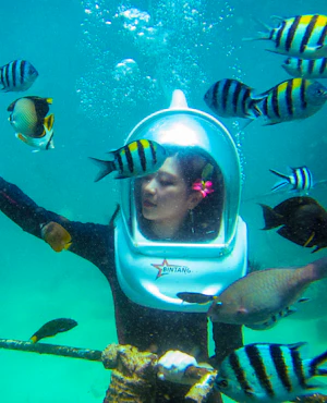 Mangrove & Snorkeling Adventure with a visit to Turtle Island.