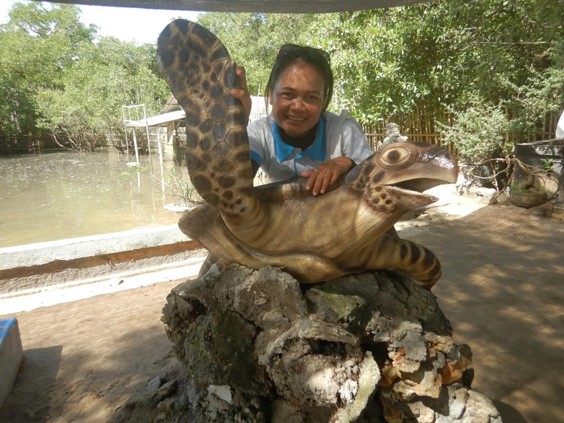 Mangrove & Snorkeling Adventure with a visit to Turtle Island. Discount
